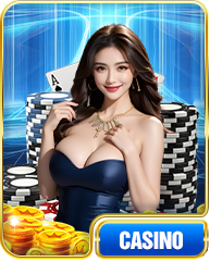 CASINO-s8net3.design