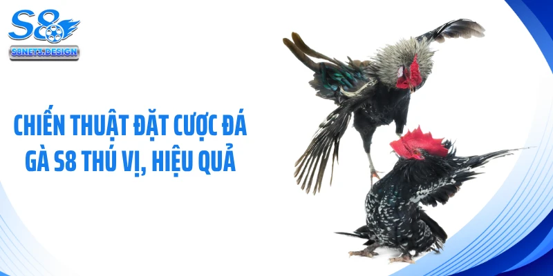 Chiến thuật đặt cược đá gà S8 thú vị, hiệu quả