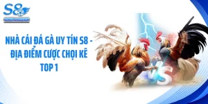 Nhà Cái Đá Gà Uy Tín S8 - Địa Điểm Cược Chọi Kê Top 1